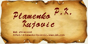 Plamenko Kujović vizit kartica